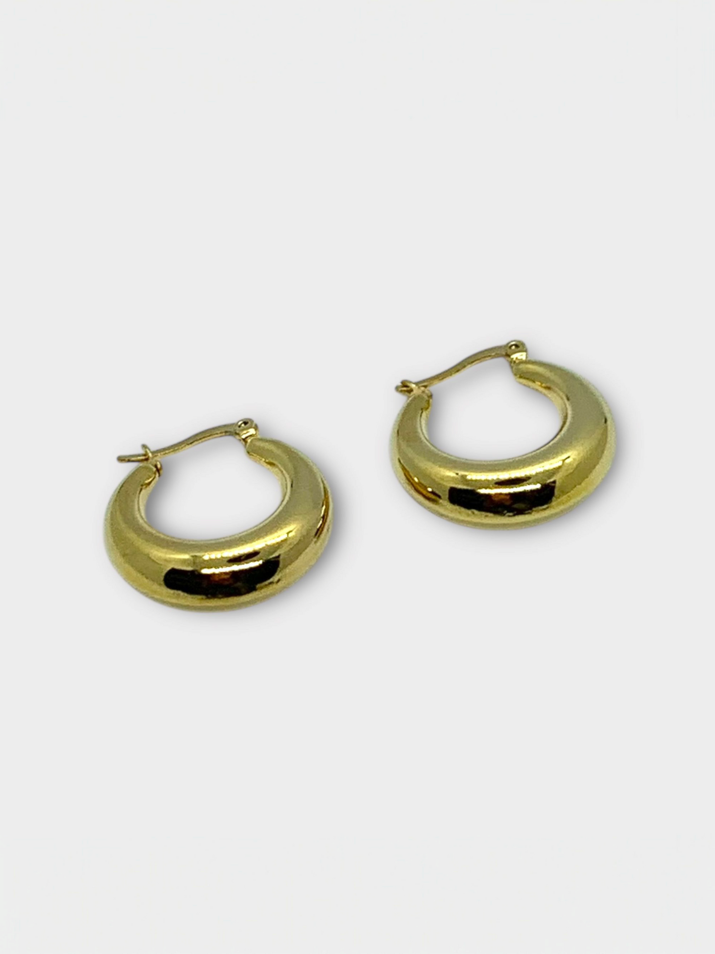 Boucles d'oreilles "Nova"